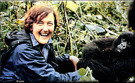 http://cumuseum.colorado.edu/exhibits/traveling/fossey/images/fossey1.jpg