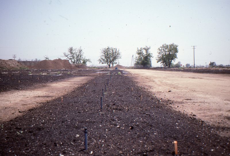 irrigated outdoor windrow with glass shards, pacific southwest farms.jpg