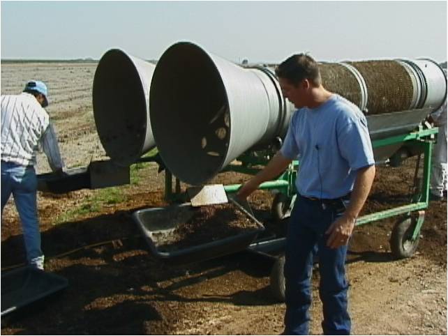arr site manager show harvested earthworms from double trommel.jpg